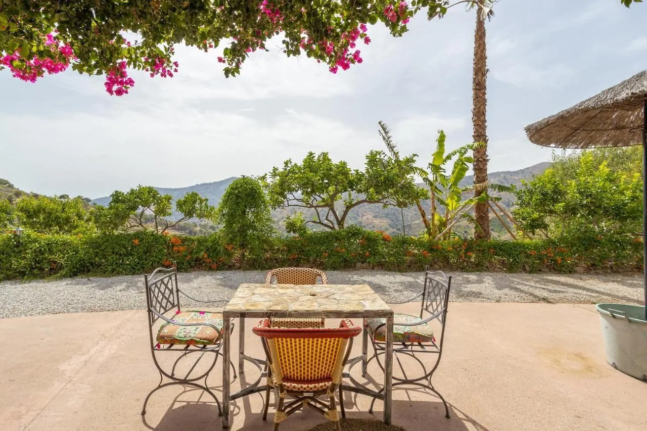 Villa Malaga Con Jacuzzi Piscina Vallada Barbacoa By Andaraholidays Country house Sayalonga